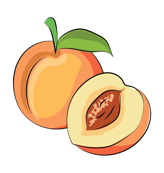 Peach Hand Drawn Sketchy Vector Icon — Stock Vector © creativestall
