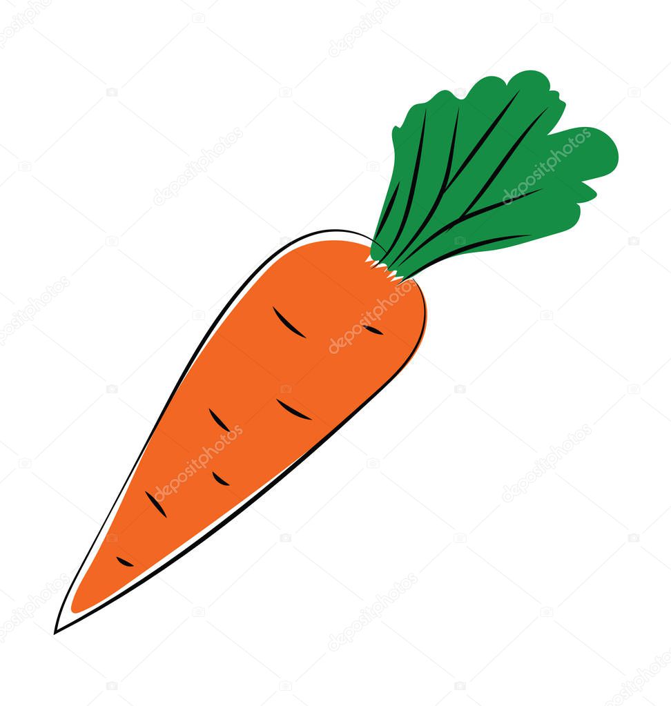 Carrot Hand Drawn Vector Icon