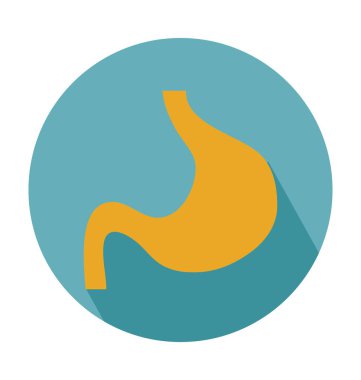 Anatomi düz vektör simgesi 