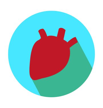 Anatomi düz vektör simgesi 