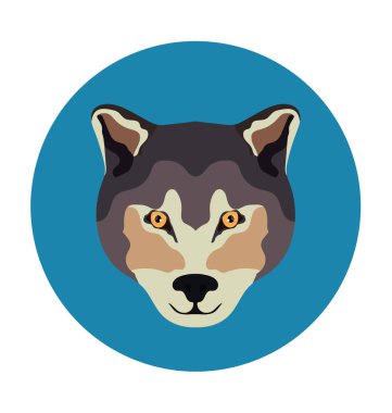 Fox düz vektör simgesi 