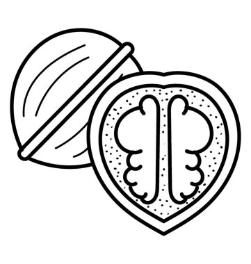 El çekilmiş retro tarzı bir bütün ve yarım ceviz doodle simgesi