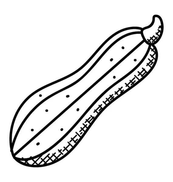 Hand Drawn Sketch Squash Organic Vegetable — Stock Vector