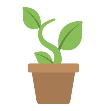 Filizlenen bir bitki. Echeveria harmsii düz simgesi