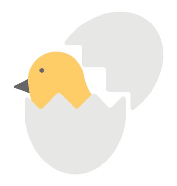 Beyaz yumurta dışarı geliyor tavuk