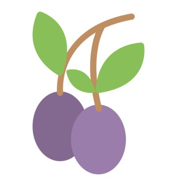 Dal, düz vektör simgesi üzerinde olgunlaşmamış Erik meyve 