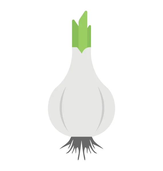Garlic Bulb Small Sprouts Flat Vector Icon — Stock Vector