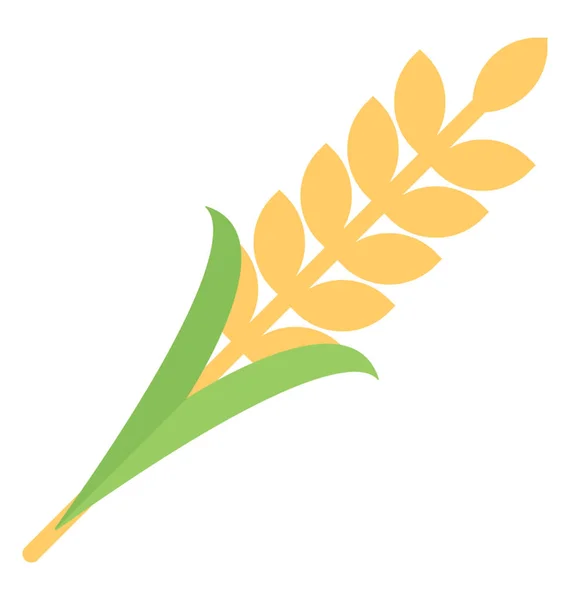 Уши Пшеницы Икона Ячменного Уха — стоковый вектор