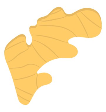 Taze zencefil, kök sebze düz simgesi