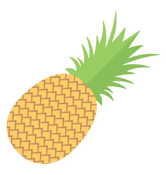 Ananas Organik Meyve Düz Simgesi — Stok Vektör