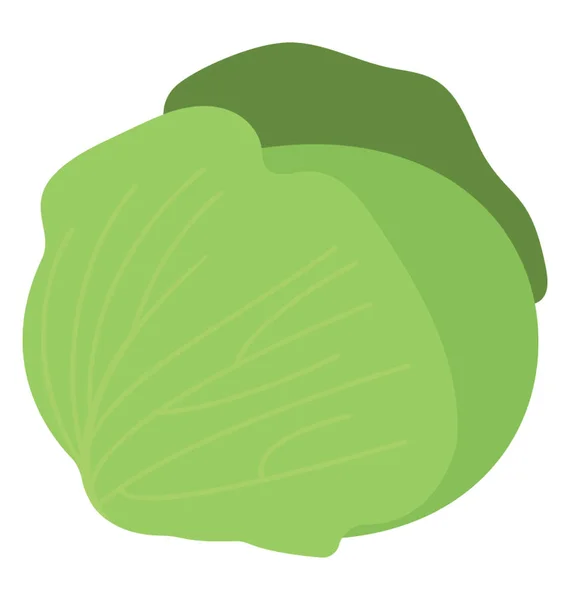 Comida Ecológica Repollo Icono Plano — Vector de stock