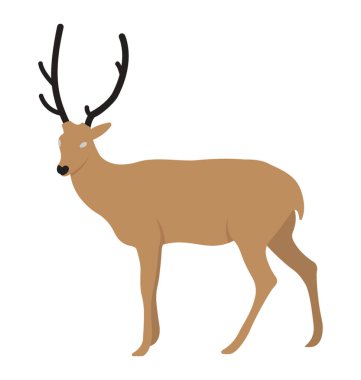 A şirin ve Noel reindeer çizgi film 