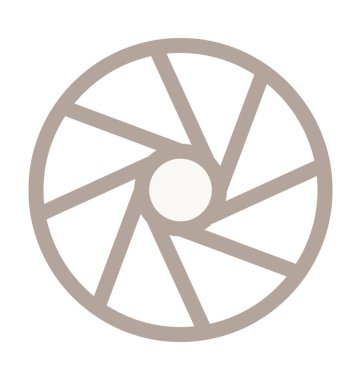 Kamera çekim renkli çizgi simgesi