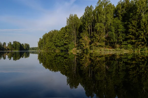 ormanda su ayna yansıması