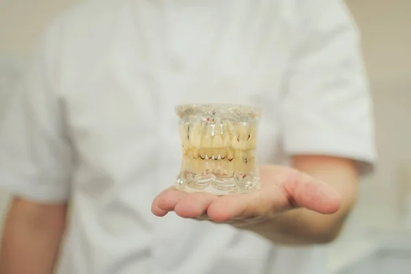 cihazın insan çene gösterge modeli