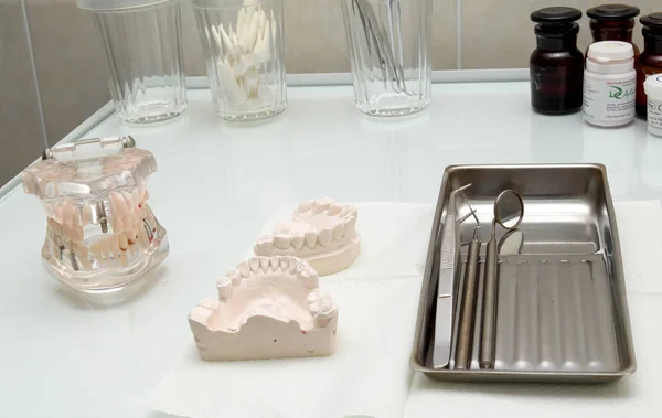 alçı model, çene, dişler