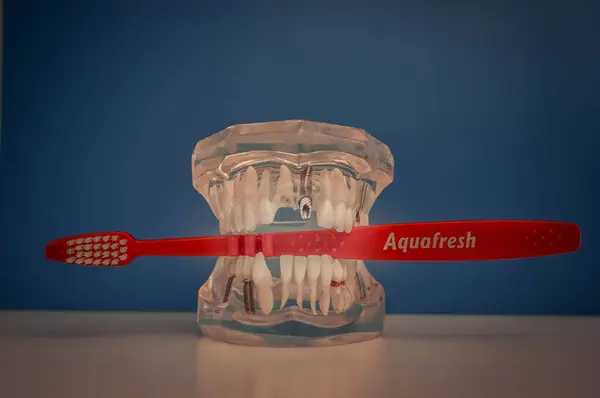 Her şeyden önce dişlerle ilgili sağlık bilgisi