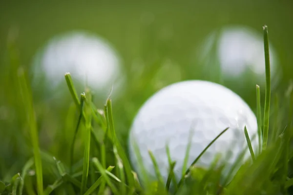 White golf balls on green grass, blur — Stock Photo, Image