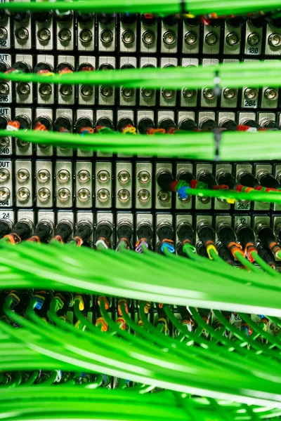 Red Cables Verdes Conectados Servidor — Foto de Stock