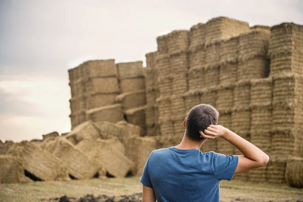 Guy romantic looking at sheaves of hay in a field — Stock Photo, Image