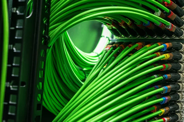 Muchos cables de red verde conectados al servidor — Foto de Stock