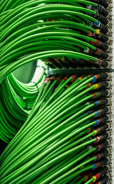 Muchos cables de red verde conectados al servidor — Foto de Stock