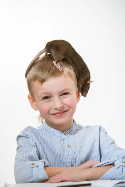 Grappige Jongen Jaar Oud Met Een Rat Huisdier — Stockfoto