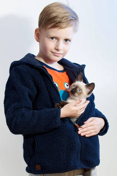 Niño Pequeño Una Chaqueta Detrás Pecho Sienta Pequeño Gatito —  Fotos de Stock