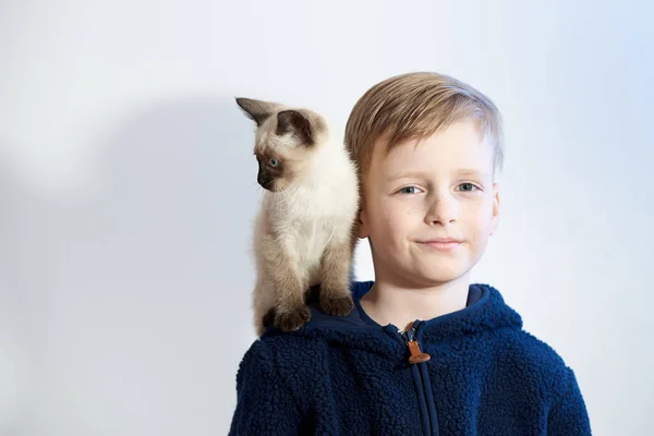 Little Boy His Pet Siamese Kitten — Stock Photo, Image