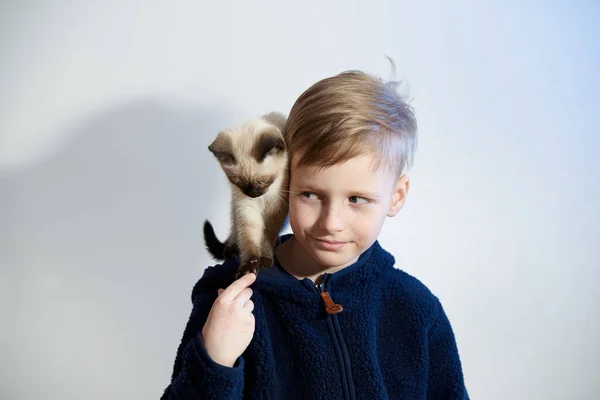 Bambino Con Suo Cucciolo Gattino Siamese — Foto Stock