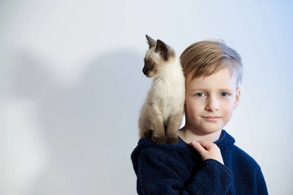 Bambino Con Suo Cucciolo Gattino Siamese — Foto Stock