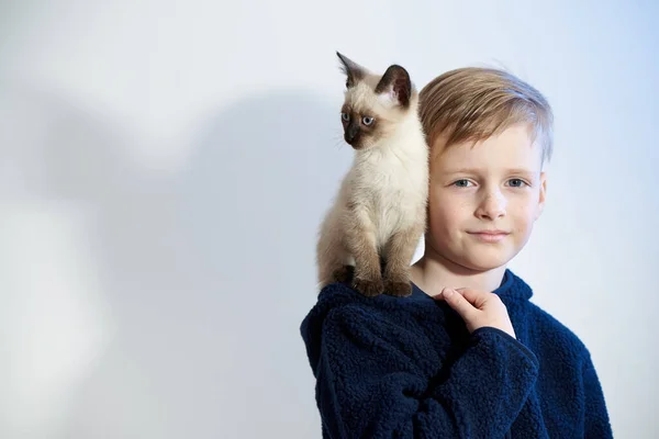Little Boy His Pet Siamese Kitten — Stock Photo, Image