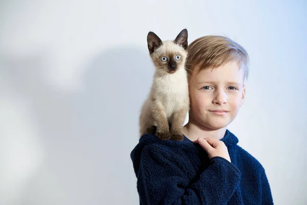 Bambino Con Suo Cucciolo Gattino Siamese — Foto Stock