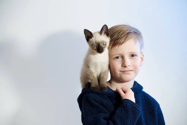 Bambino Con Suo Cucciolo Gattino Siamese — Foto Stock