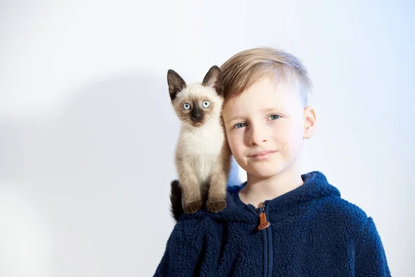 Little Boy His Pet Siamese Kitten — Stock Photo, Image