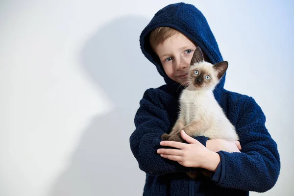 Little Boy His Pet Siamese Kitten His Arms — Stock Photo, Image
