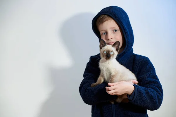 Little Boy His Pet Siamese Kitten His Arms — Stock Photo, Image