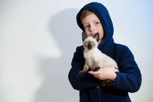 Little Boy His Pet Siamese Kitten His Arms — Stock Photo, Image