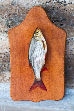 Rudd bir kesme tahtası üzerinde