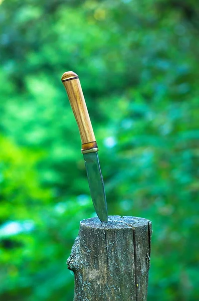 Cuchillo de caza atascado en un muñón — Foto de Stock