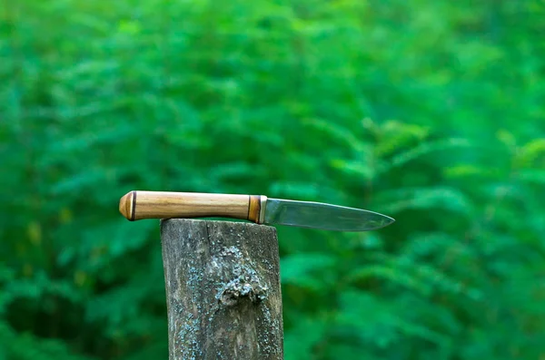 Hunting knife stuck in a stump — Stock fotografie