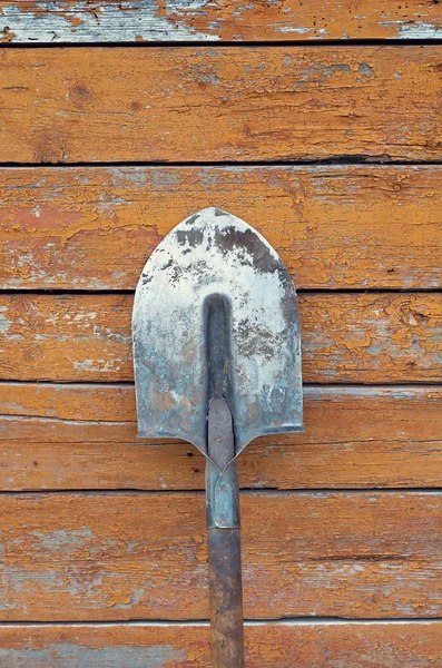 Грязная лопата вертикально на фоне окрашенной деревянной стены — стоковое фото