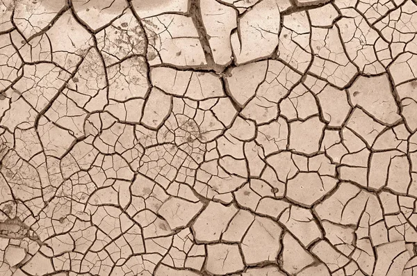 Argile sèche de surface avec plusieurs fissures et copeaux — Photo