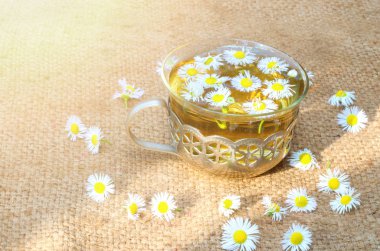 Papatya çayı üzerinde çuval bezi, sunbeam