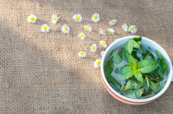 Té de menta y flores de manzanilla dispersas — Foto de Stock