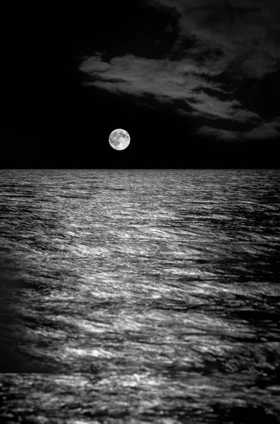 Full moon over the sea, long exposure. black-and-white toning