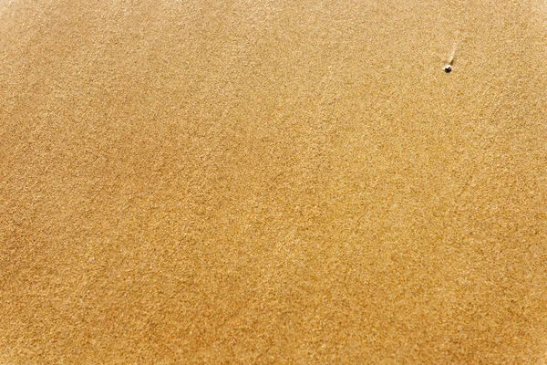 Mokrý písek z pláže pozadí — Stock fotografie