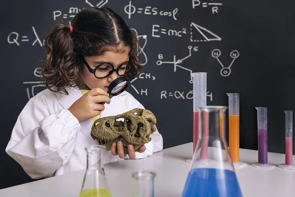 little girl scientist with glasses in lab coat with chemical flasks studying a dinosaur skull with her magnifying glass, back to school and successful female career concept