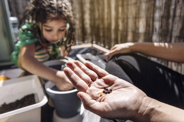 Hand Med Frön Bakgrunden Hans Dotter Fokus Plantera Frön Det — Stockfoto