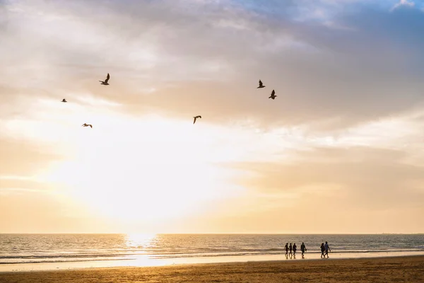 Silhouette Group Unrecognizable People Walking Beach Summer Sunset Seagulls Fly — Stock Photo, Image